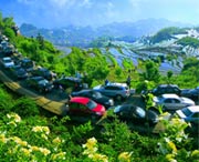 云和天气预报10天